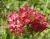 Img.VTax2902.Ex2.Img4