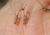 Img.VTax2921.Ex2.Img2