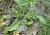 Img.VTax2924.Ex1.Img1