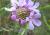 Img.VTax2924.Ex1.Img2