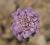 Img.VTax2925.Ex1.Img1