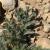 Img.VTax2925.Ex1.Img3