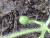 Img.VTax2927.Ex1.Img1