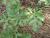 Img.VTax2927.Ex1.Img2