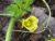 Img.VTax2927.Ex1.Img3