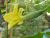 Img.VTax2928.Ex1.Img1