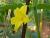 Img.VTax2928.Ex1.Img2