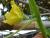 Img.VTax2929.Ex1.Img3