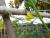 Img.VTax2929.Ex1.Img5