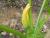 Img.VTax2931.Ex1.Img3