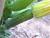 Img.VTax2931.Ex1.Img4