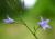 Img.VTax2951.Ex3.Img1