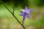 Img.VTax2951.Ex3.Img2