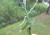Img.VTax2991.Ex2.Img2