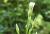 Img.VTax2991.Ex2.Img3