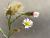 Img.VTax2991.Ex2.Img6