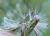 Img.VTax2991.Ex2.Img7