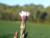 Img.VTax2991.Ex2.Img8