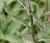 Img.VTax2991.Ex3.Img1