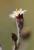 Img.VTax2991.Ex3.Img3