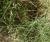 Img.VTax2991.Ex4.Img1