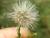 Img.VTax2991.Ex4.Img2