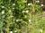 Img.VTax3000.Ex2.Img2