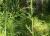 Img.VTax3000.Ex2.Img3