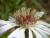 Img.VTax3000.Ex3.Img3