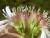 Img.VTax3000.Ex3.Img5