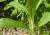 Img.VTax3000.Ex3.Img6