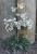 Img.VTax3000.Ex4.Img1