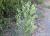 Img.VTax3010.Ex1.Img3