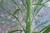 Img.VTax3010.Ex1.Img4