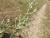 Img.VTax3013.Ex1.Img1