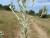 Img.VTax3013.Ex1.Img3