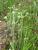 Img.VTax3017.Ex1.Img2
