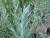 Img.VTax3034.Ex2.Img3