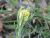 Img.VTax3034.Ex2.Img4