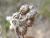 Img.VTax3034.Ex2.Img6