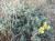 Img.VTax3034.Ex2.Img7
