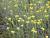 Img.VTax3034.Ex2.Img8