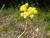 Img.VTax3034.Ex2.Img9