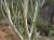 Img.VTax3039.Ex1.Img1