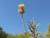 Img.VTax3039.Ex1.Img3