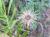 Img.VTax3039.Ex1.Img4