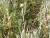 Img.VTax3039.Ex1.Img6