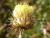 Img.VTax3039.Ex1.Img7