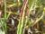 Img.VTax3039.Ex1.Img8
