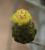 Img.VTax3040.Ex2.Img1